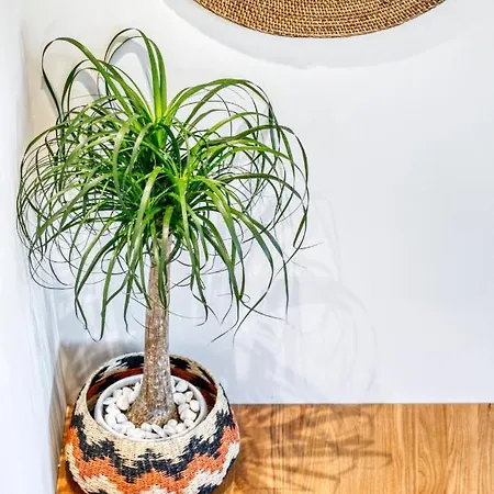 Barocco Corfu Kamara (Corfu)