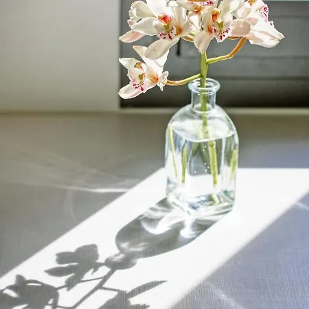 Villa Barocco Corfu Kamara (Corfu)